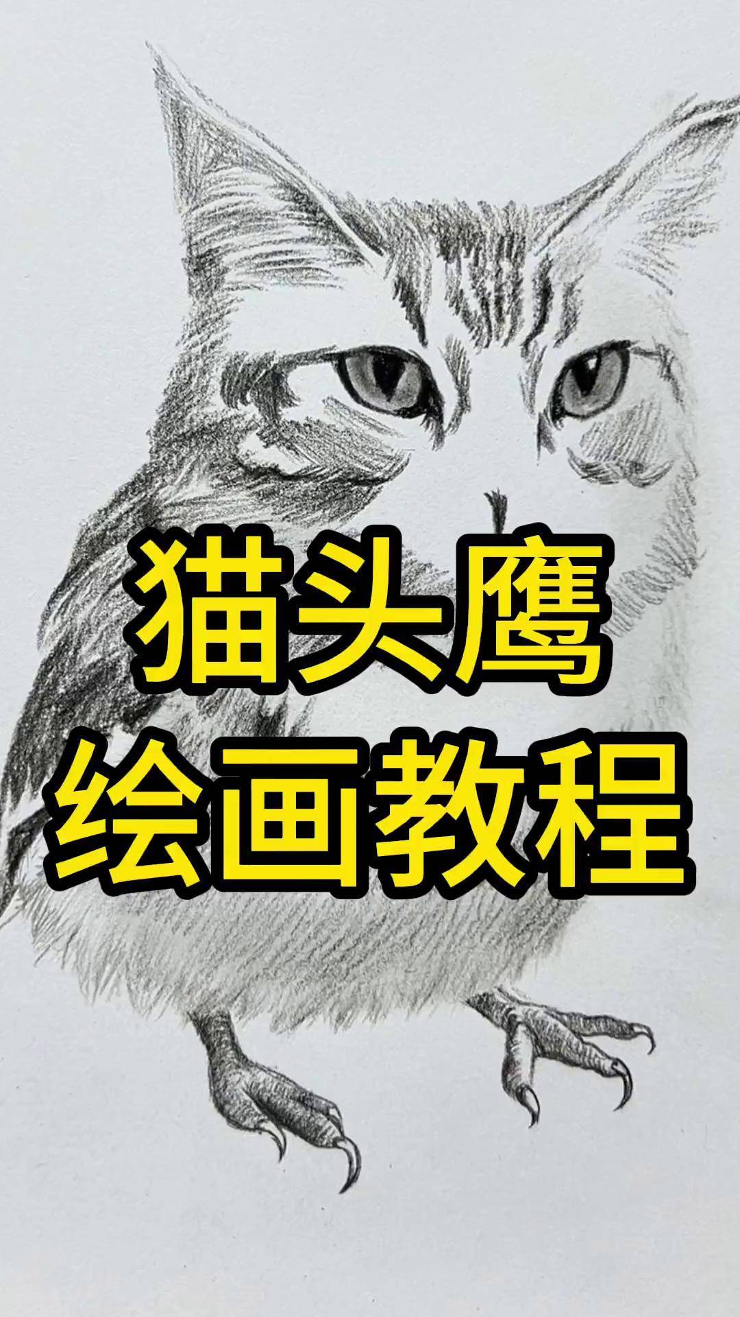 "猫"头鹰绘画教程 素描 零基础学画画 手绘 美术生 一学就会系列