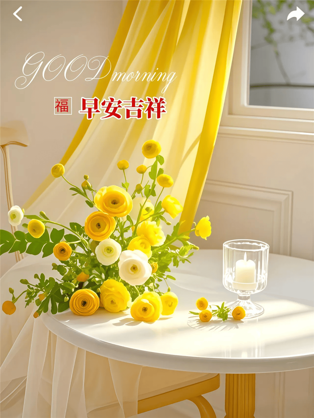 168张最新版早安早上好唯美图片:新的一天,开心,快乐,平安,健康!
