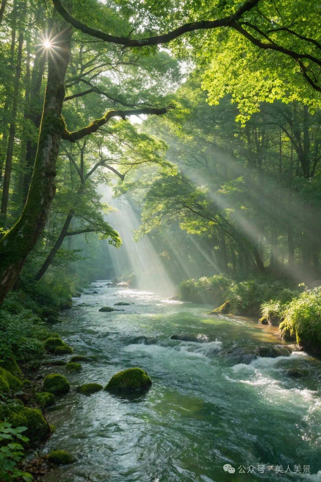 好美的景,景好,文好,看完心情更好!