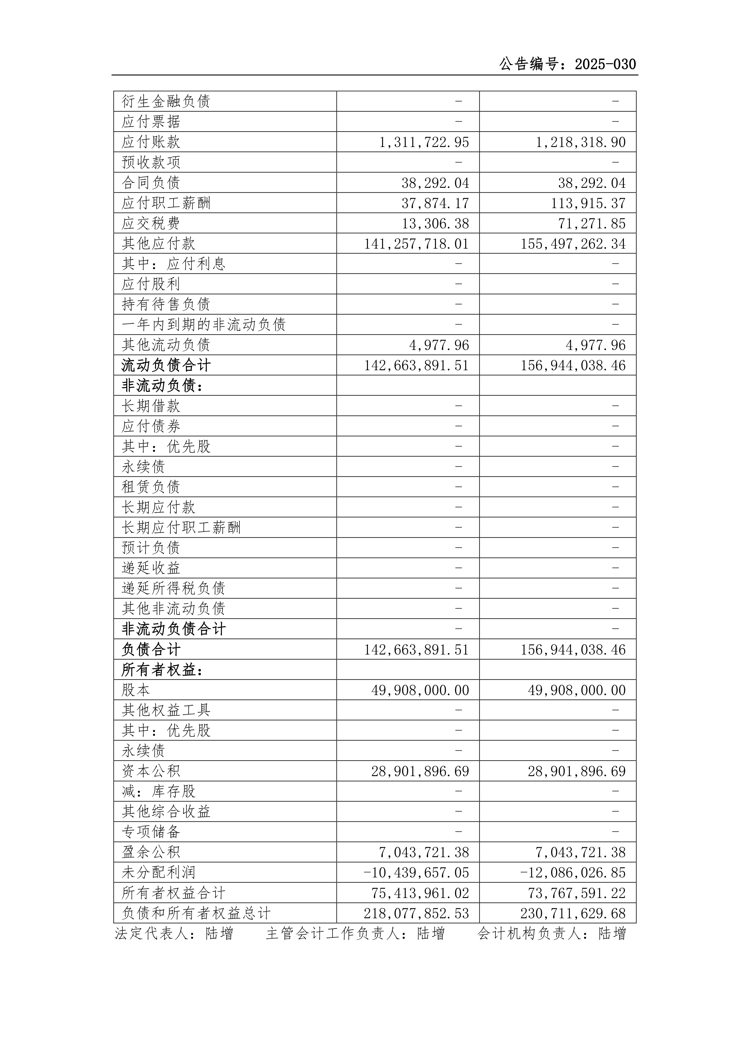 港股-新之科技-2025年第一季度财务报表