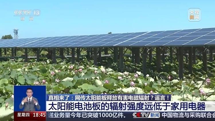真相来了丨网传太阳能板释放有害电磁辐射？谣言！