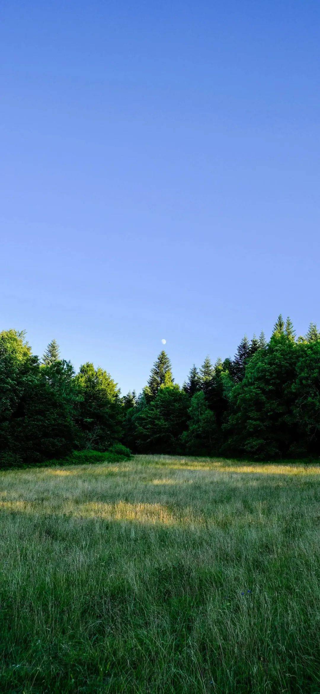 壁纸 | 丰富一下你的手机壁纸