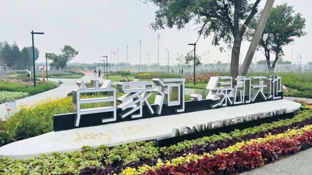 肖家河·绿动天地：潮流运动新地标，乒乓球与滑板的热血碰撞