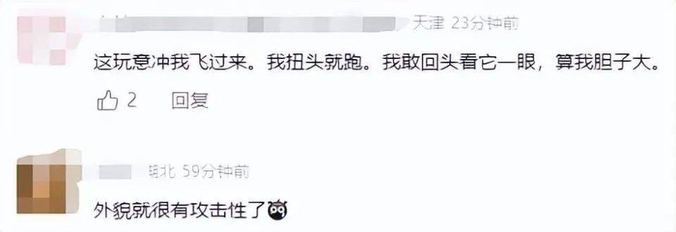 “看起来有1米”！有人家中出现“巨型蟑螂”？网友：房子给它了