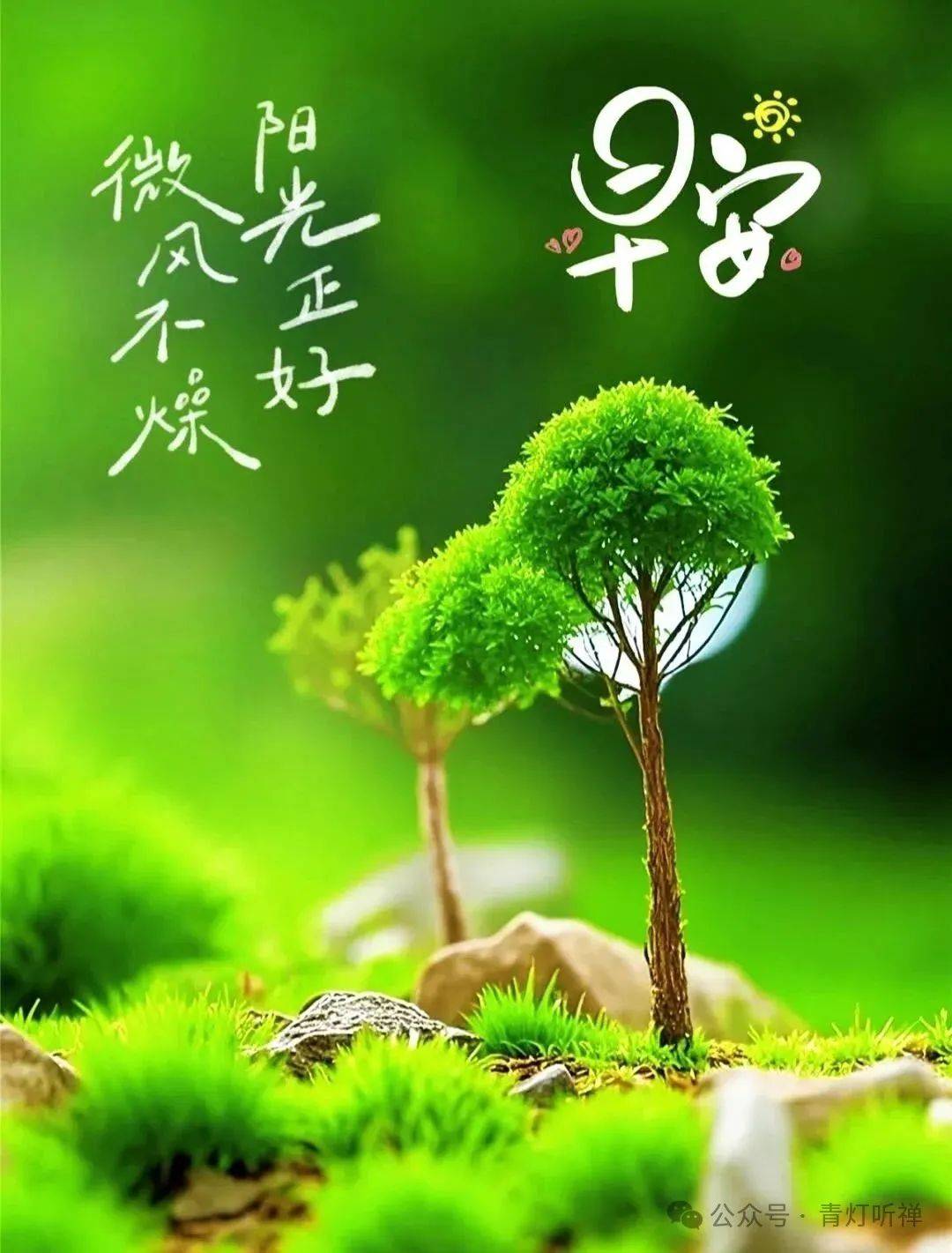 166张早安吉祥图片愿你今日心无烦忧事事顺意