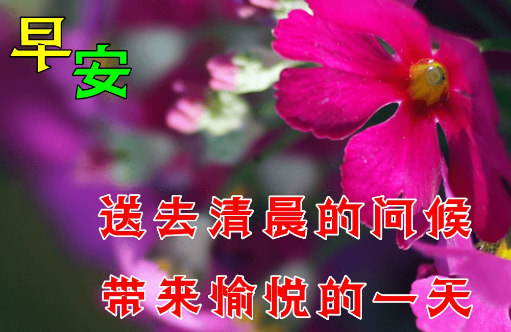 早上天气好的句子预报