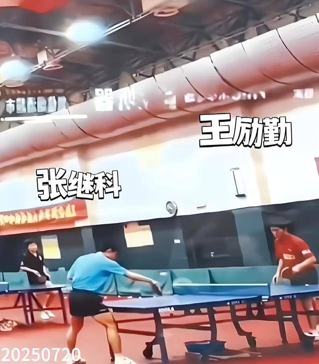 张继科或重返国乒教练团队，王励勤公开支持引热议