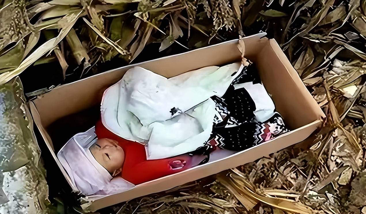 扒开杂物,却发现,竟然是一个一个用破棉絮裹着的小婴儿,冻得脸都青了