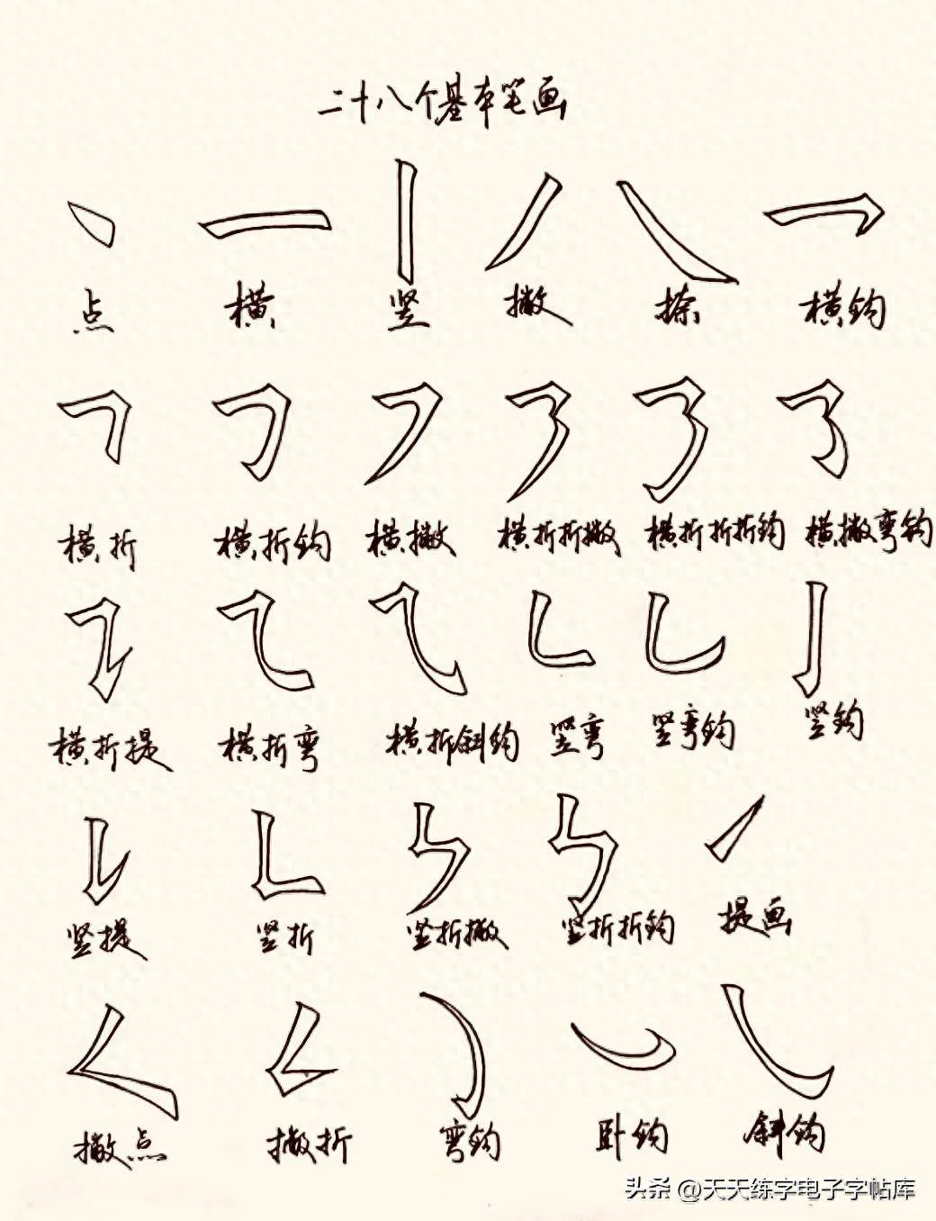 认识28个基本笔画