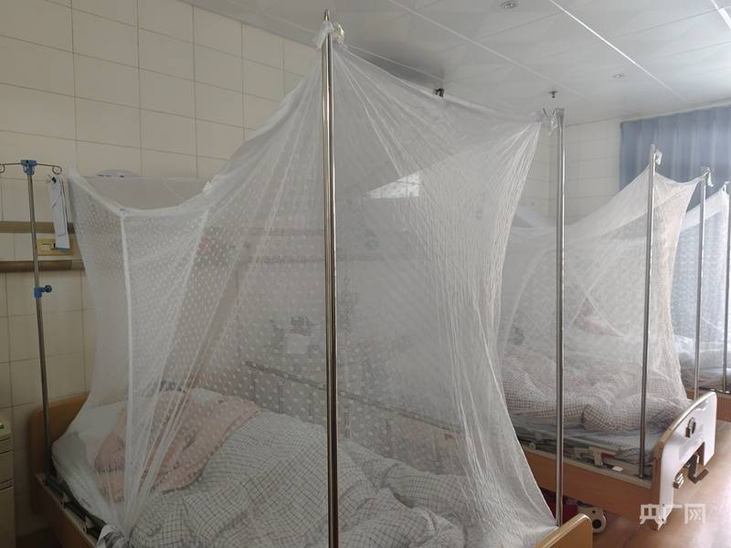 广东佛山累计确诊基孔肯雅热超4000例 记者实探收治医院