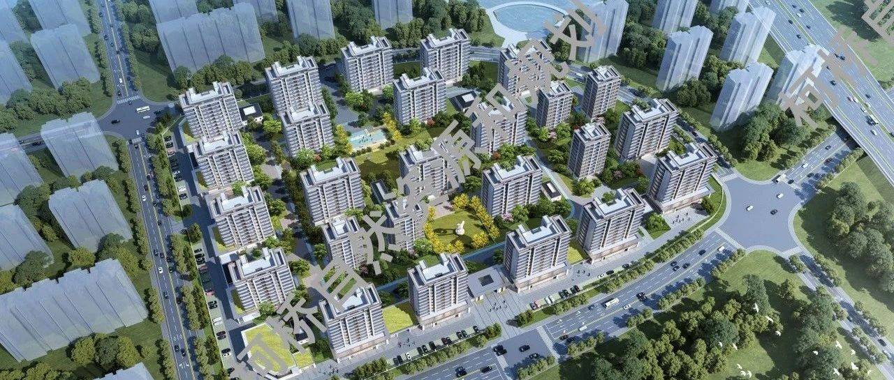 拟建25幢11F小高层！柯桥新盘规划公示…_柯岩_建设_绍兴