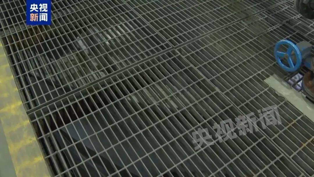 “事发时5块格栅板坠落”，6名学生遇难最新细节披露，中金黄金市值蒸发超50亿