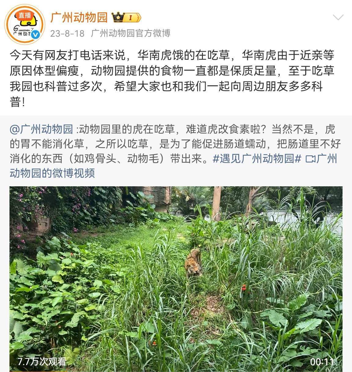 北京动物园老虎饿得吃草?园方回应：您放心，动物食物充足