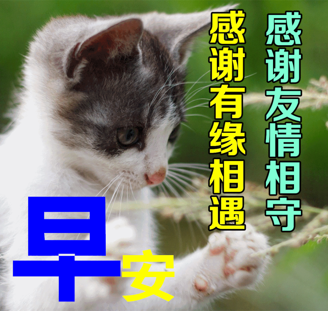 7月29日夏季早上好动态表情图片大全,天气炎热,注意防暑
