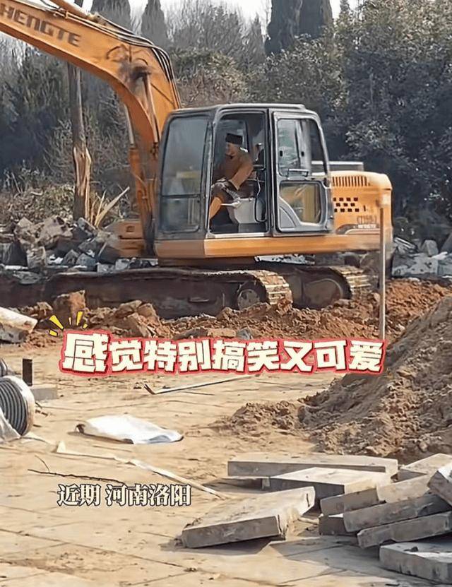 少林寺新住持：开挖机种麦子的方丈