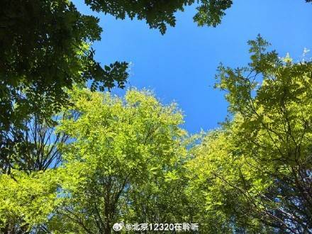 热射病不是普通的中暑！中伏如何预防热射病？