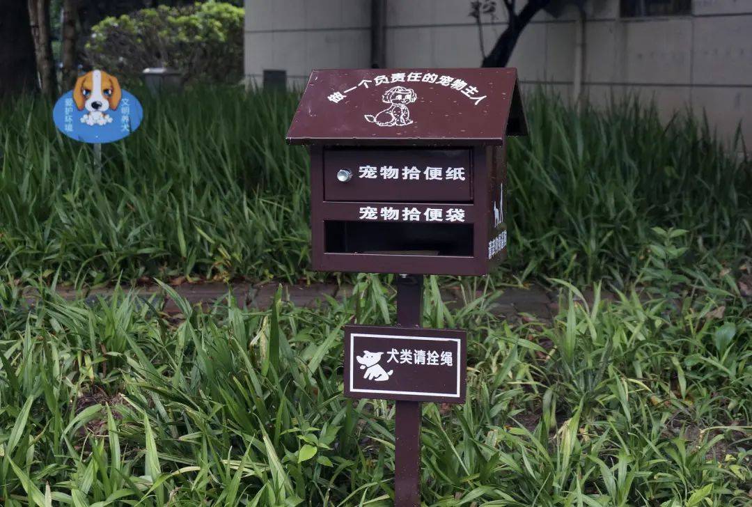 业主在小区内踩狗粪摔成十级伤残！本人被判担主责，物业担次责