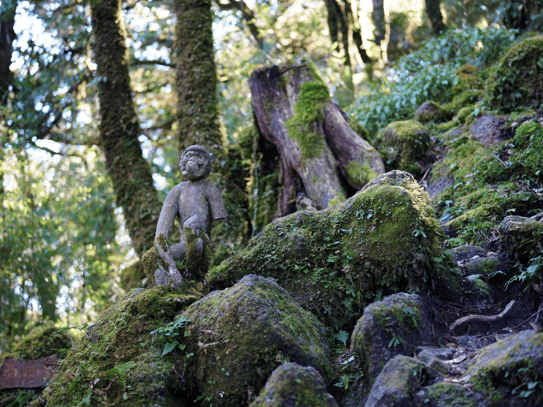 图片[10]-名字自带凉感的滇中小城，太适合避暑了 -华闻时空