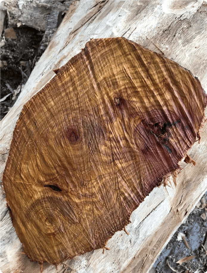 世界第二贵的木材