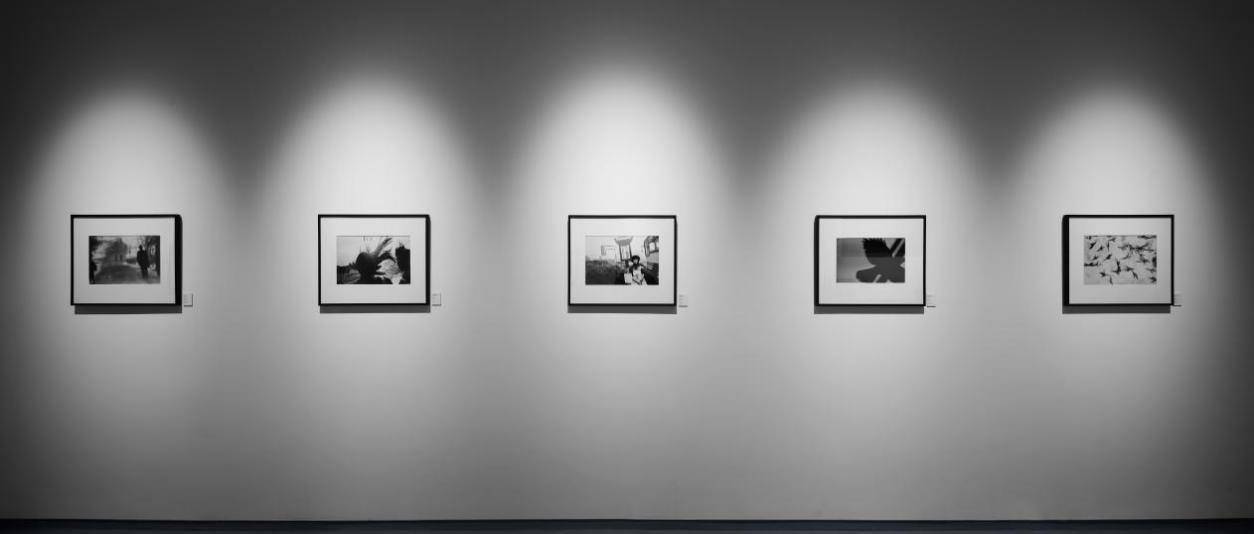 《鸦：深濑昌久摄影展》杭州开展，摄影爱好者别错过__《鸦：深濑昌久摄影展》杭州开展，摄影爱好者别错过