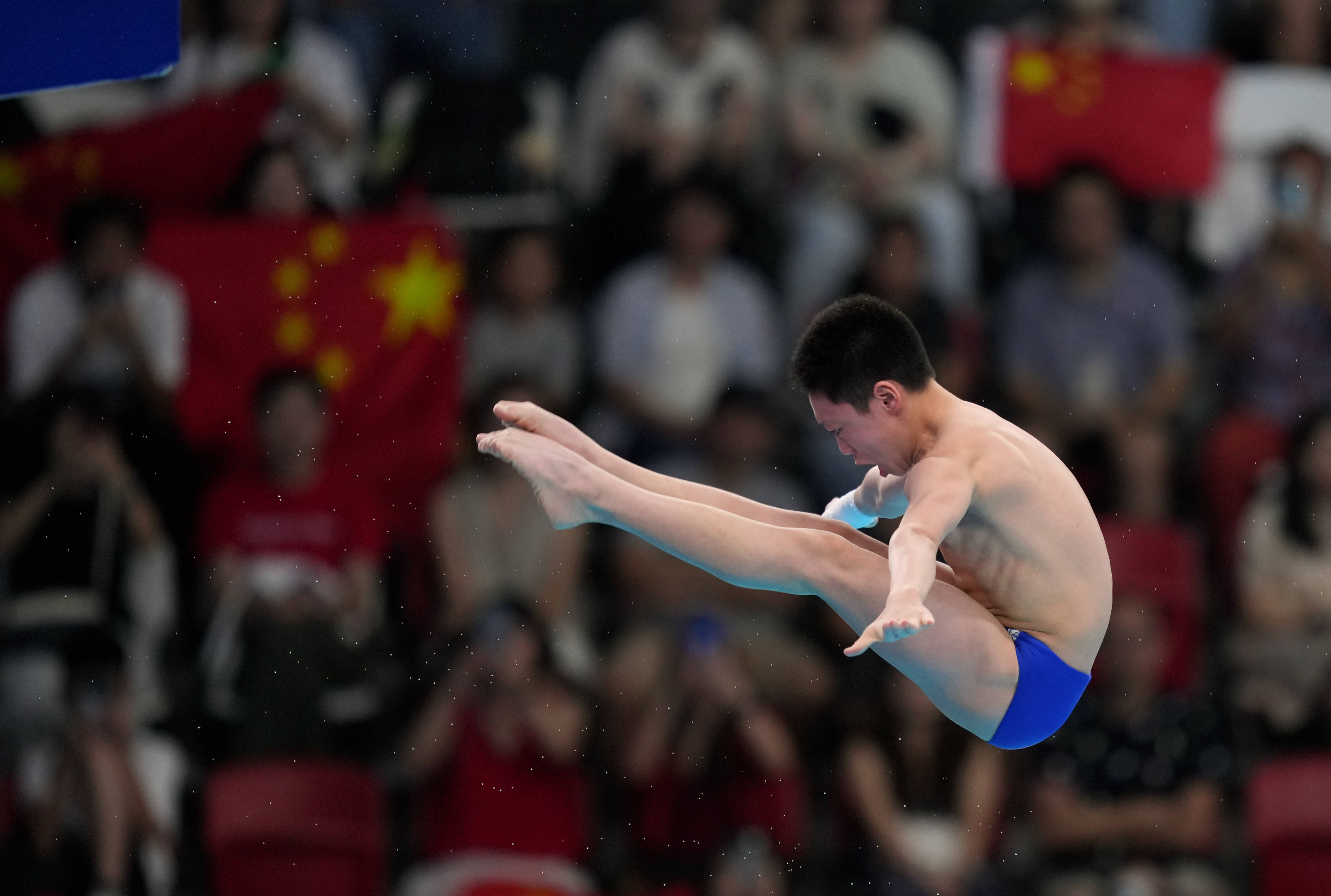 (游泳世锦赛)跳水