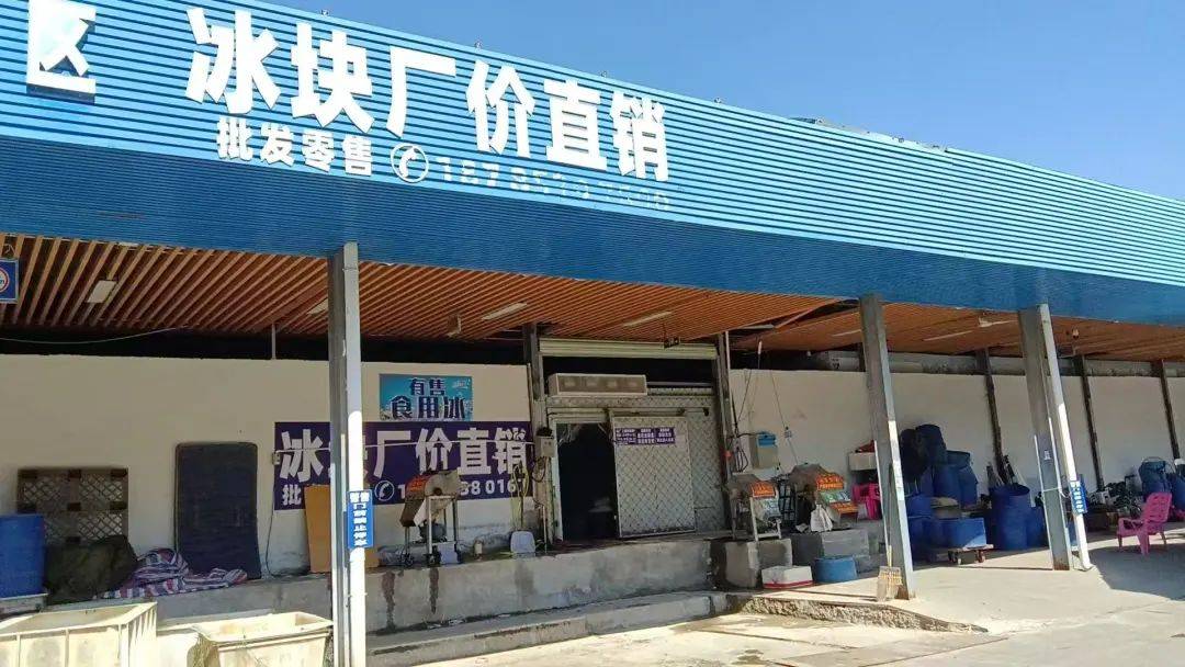 冰冻厂批发市场 冰冻厂批发市场