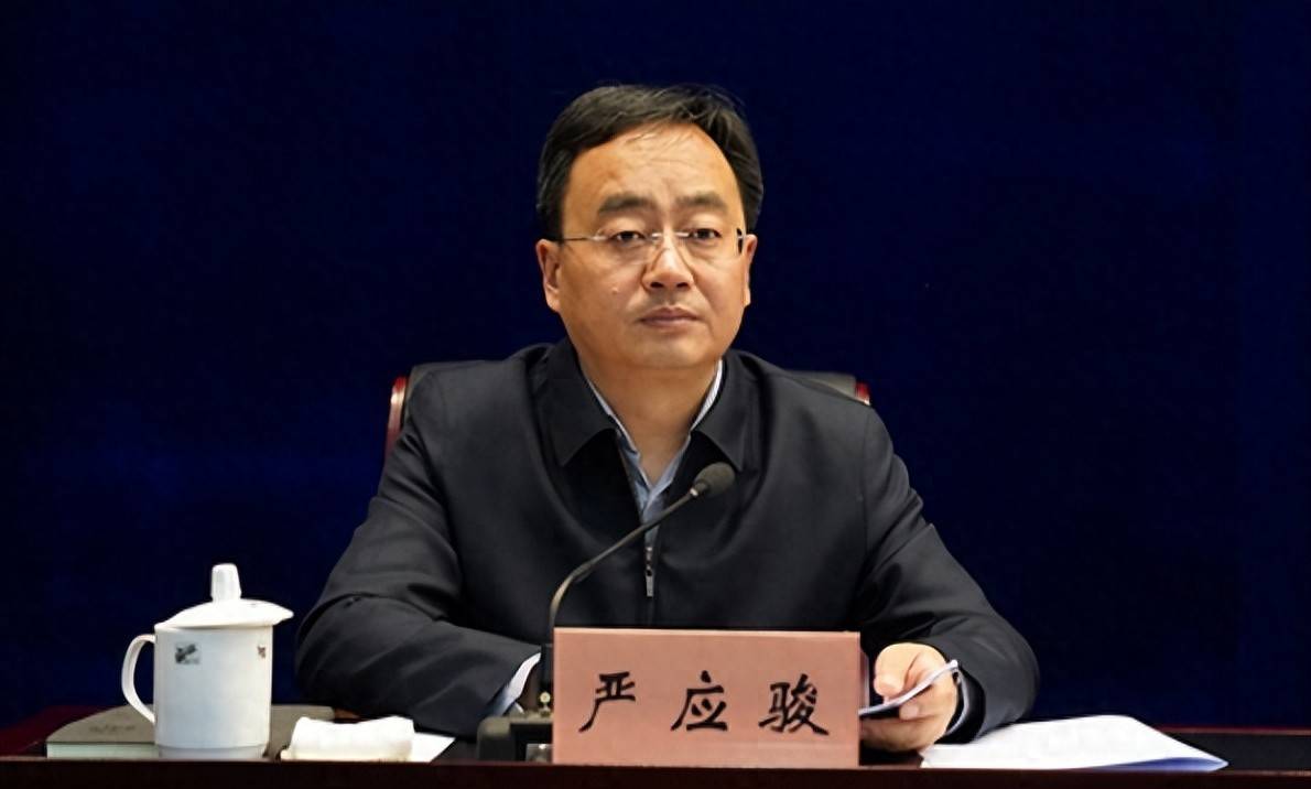 严应骏落马,曾被降级处分