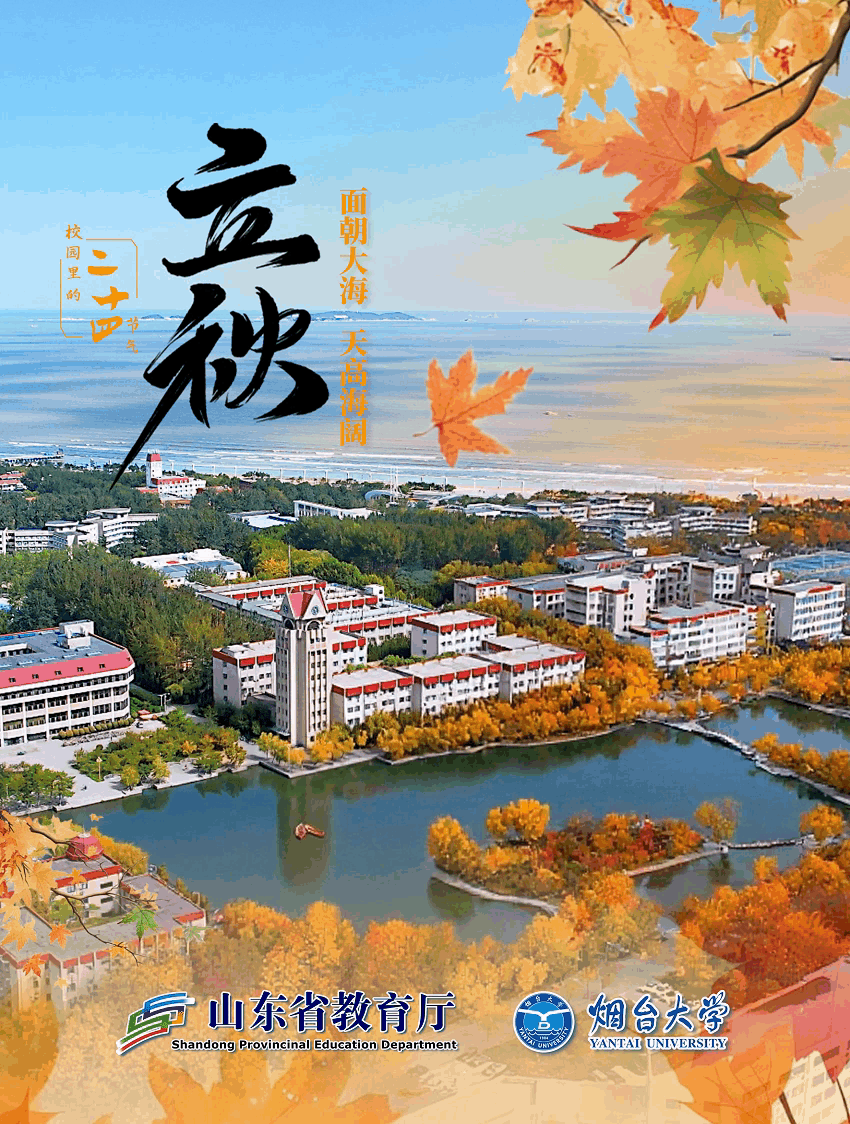 850_1124竖版 竖屏gif 动态图 动图