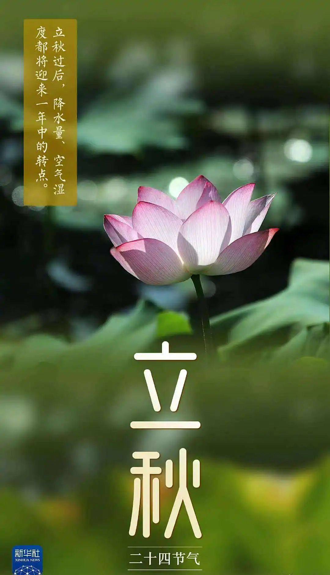 立秋节气生肖运势(立秋后生肖运势)