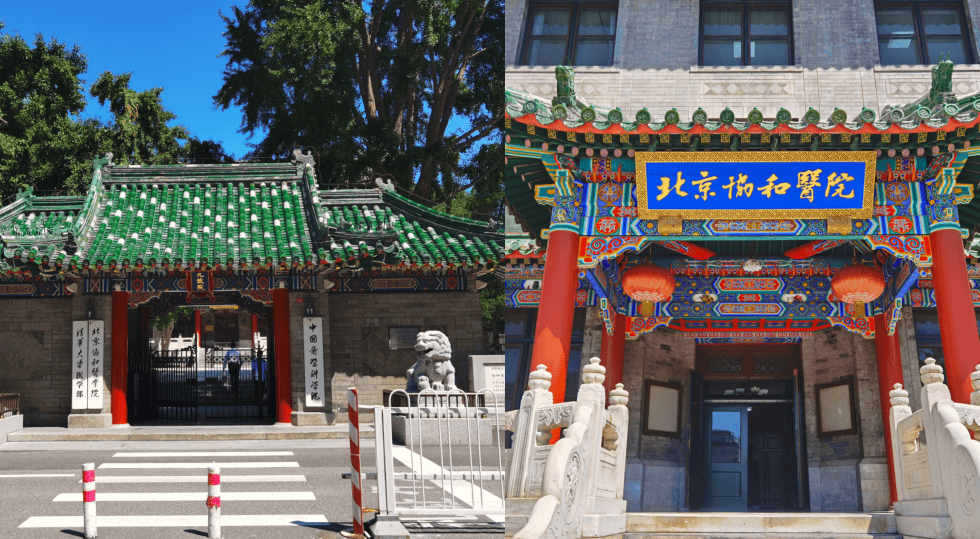 包含北京协和医院、全国服务-收费透明号贩子联系方式_诚信第一,服务至上!的词条