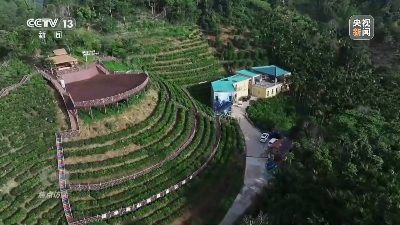 焦点访谈丨“为一场比赛，奔赴一座城” 赛事如何成为带动发展的“经济引擎”？