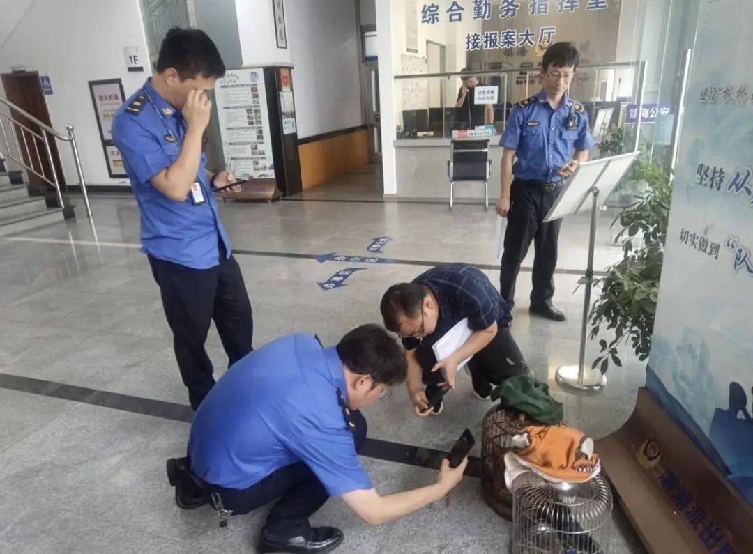 宁波一人因在家中饲养画眉鸟被立案调查；画眉系国家二级重点保护动物，多人曾因非法捕猎、出售被起诉
