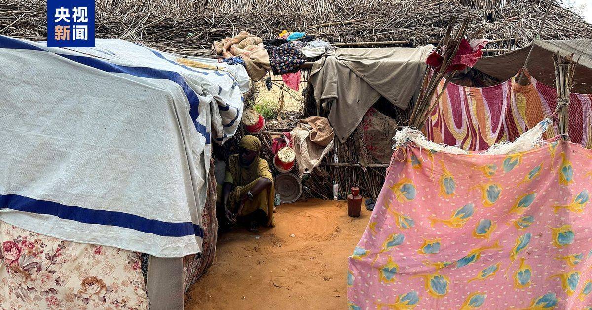 苏丹一难民营遭武装分子袭击 超40人死亡