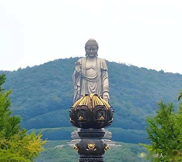 鼋头渚拈花湾灵山胜境深度游_无锡旅游攻略2025_无锡有哪些著名培训机构