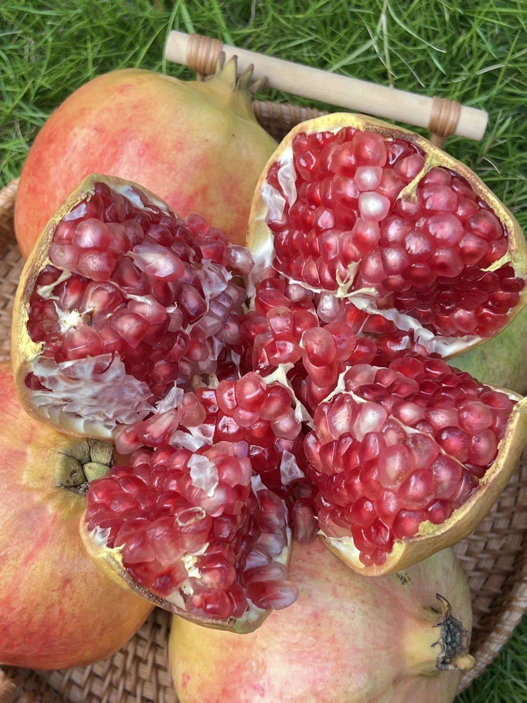 果肉晶莹剔透,粒大籽软,软籽能直接吃