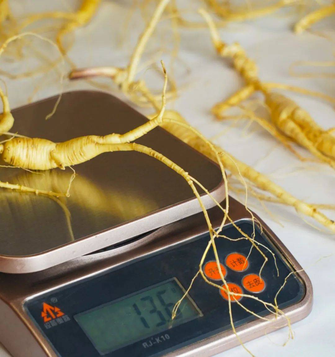 👇加工后单个即食人参的克重：8.5g只选4-5年的足龄参选出合适克重的人参