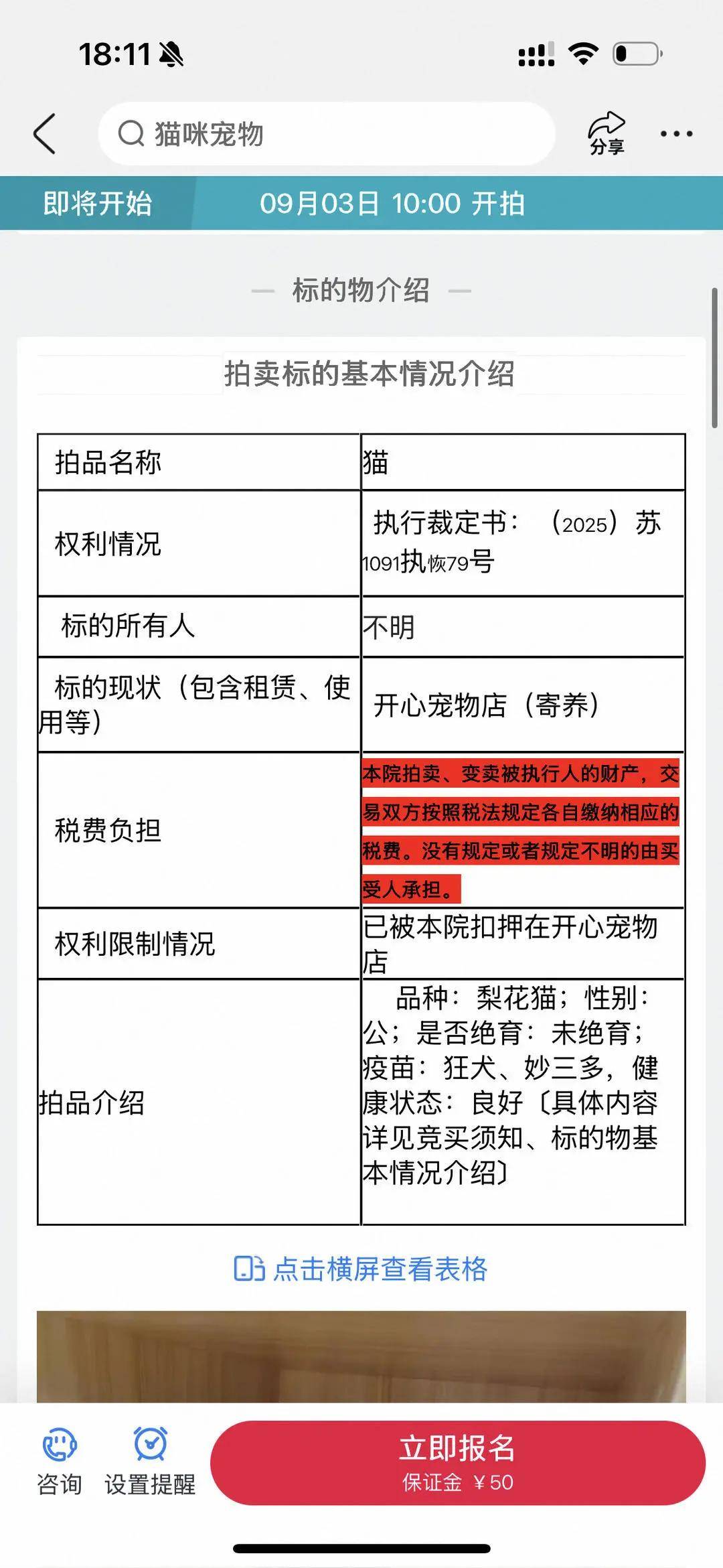 狸花猫“卖身”抵债，起拍价500元，宠物店：法院送来寄养