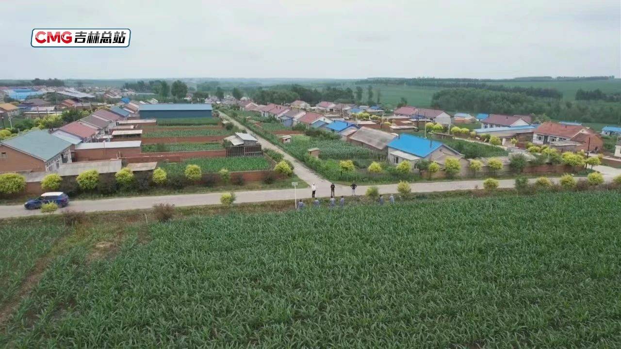 吉林榆树发现两件夫余国青铜器