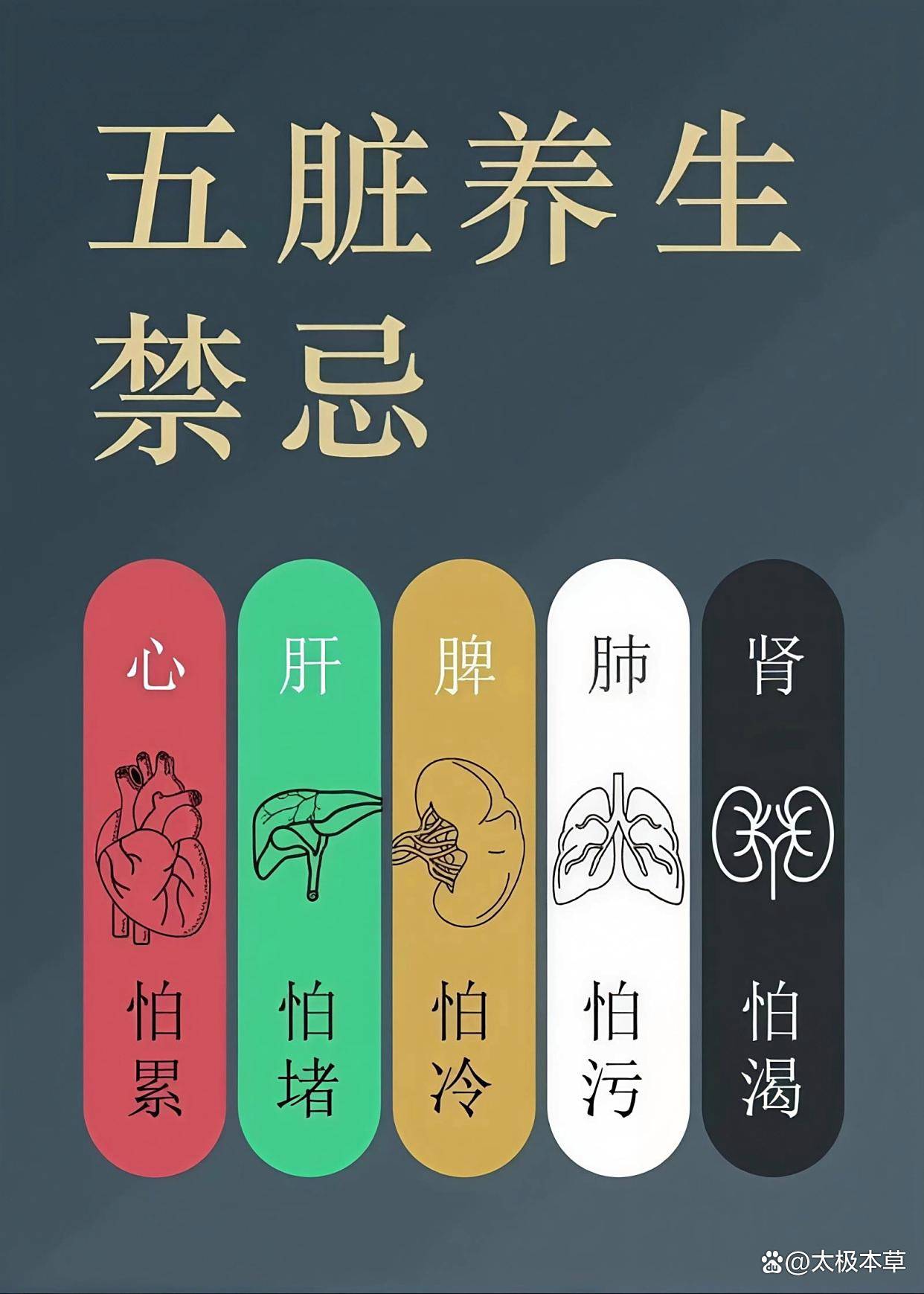 明代名医张景岳将“五脏之伤,穷必及肾”啥意思_icon_早饭_脾胃