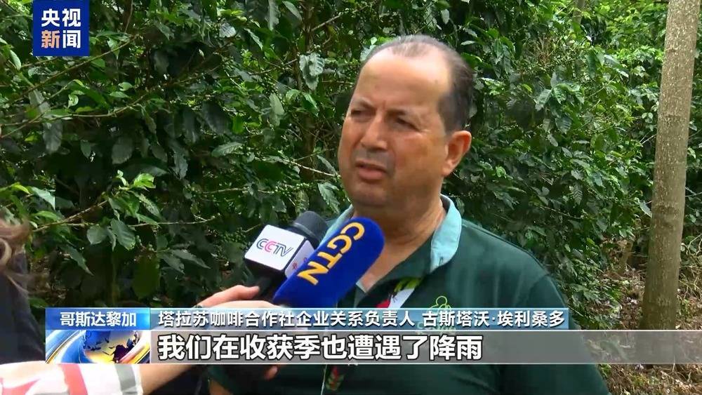 气候变化影响哥斯达黎加咖啡产量 预计2025至2026年产量下降约10%