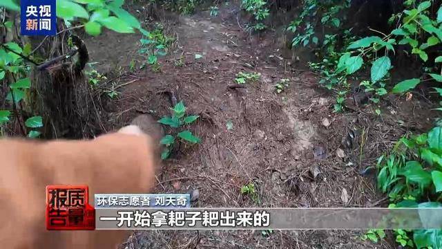 云南大理“采菌游”爆火 无序采摘已引发多起警情