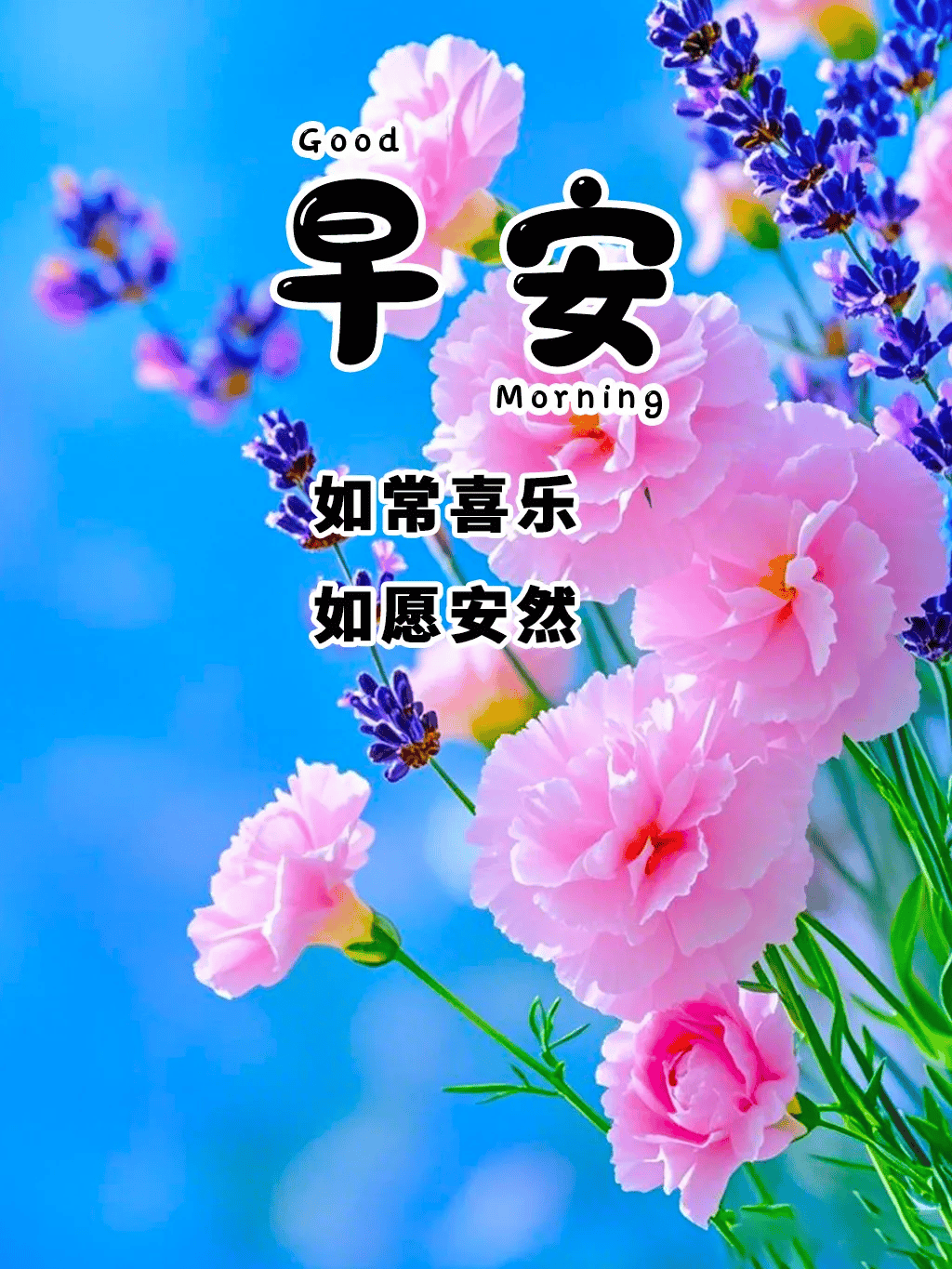 8月最新版超漂亮早安早上好精选图片祝福