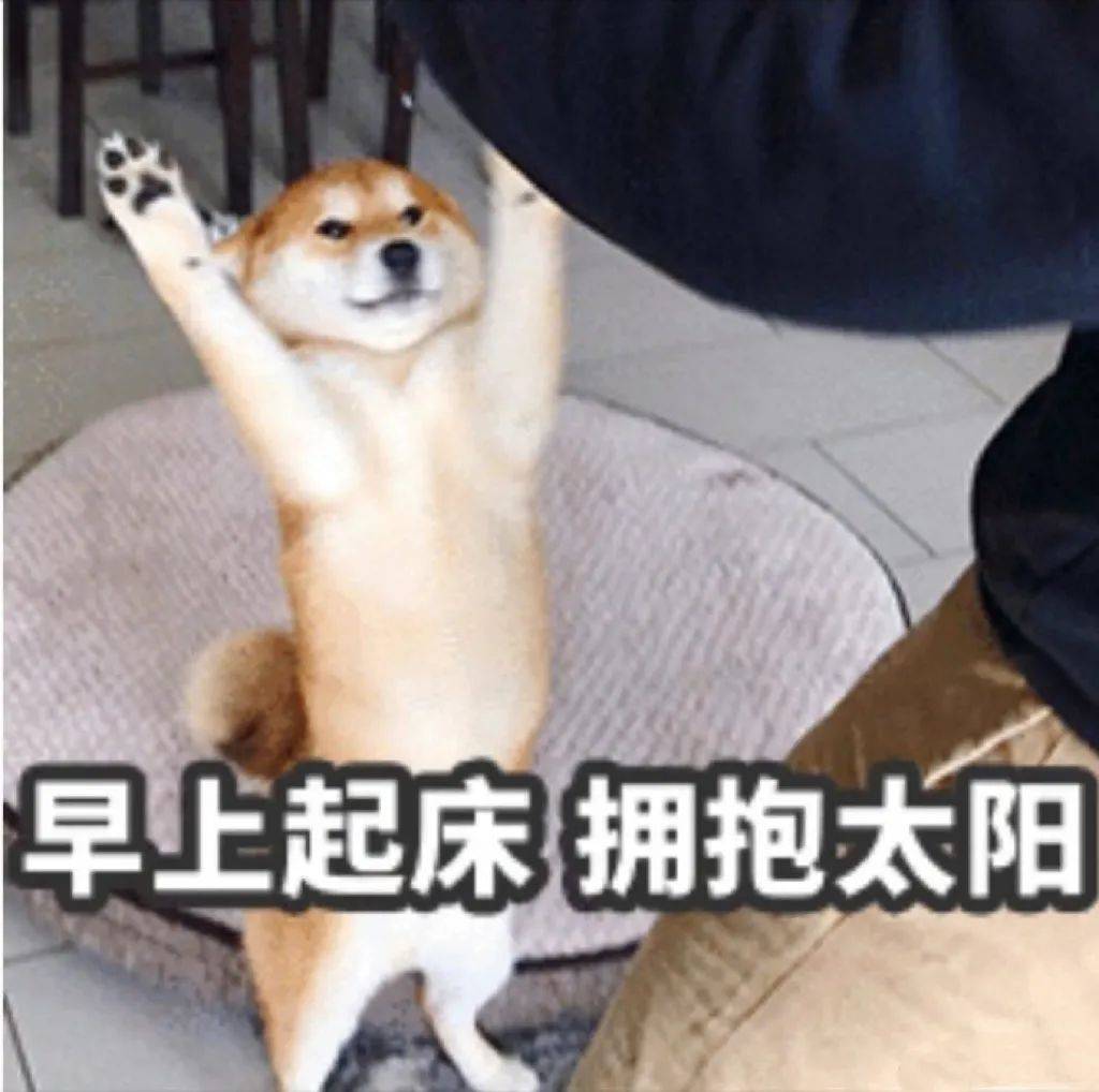 早上起床拥抱太阳,满满的热能量
