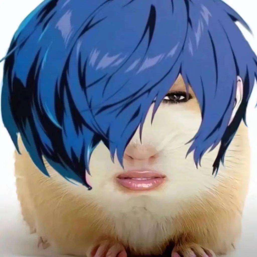 猪妞表情包:仙女下凡