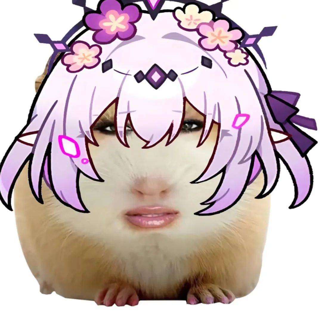 猪妞表情包:仙女下凡