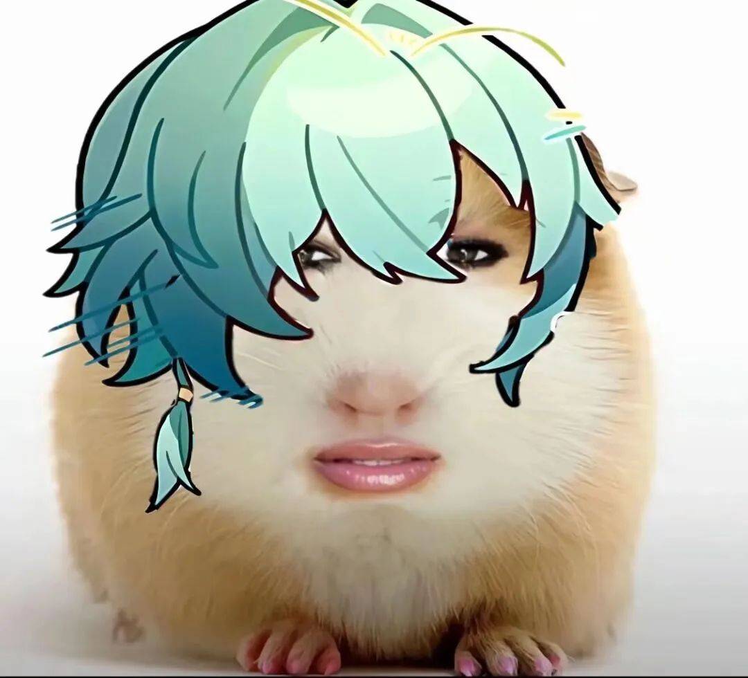 猪妞表情包:仙女下凡