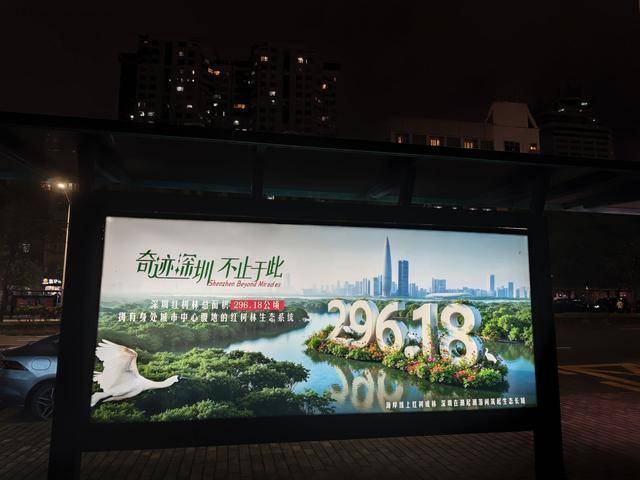 深圳，生日快乐！全城亮灯亮屏深情“表白”特区