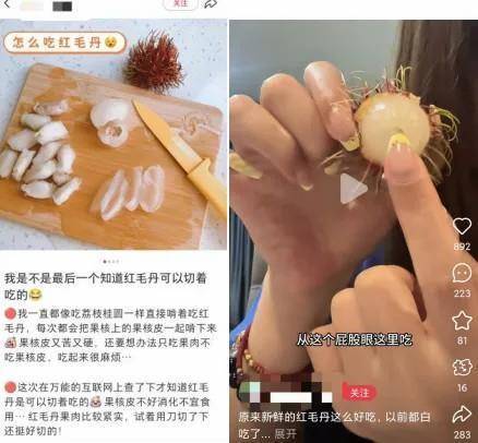 这种浑身长刺的“毛荔枝” 其实比橙子还补维C