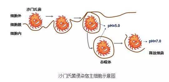 官方通报：一幼儿园发生中毒事件，发病130例
