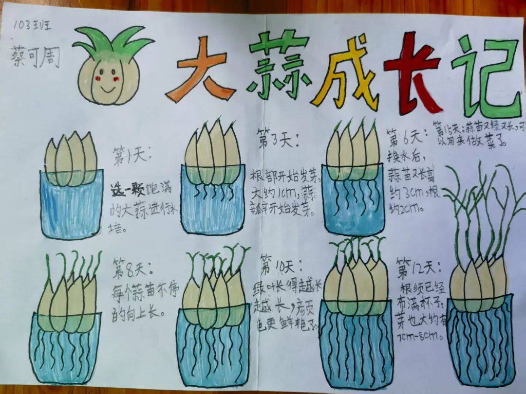 观察自然,敬畏生命,这个夏天,我们为大自然留下了最美的童年注脚!